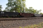 CR 507411